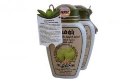  5 - Savon d'Alep Liquide (shampoing) de laurier biologique :  Blooms Shampooing Cheveux cassants 400 ml (513)